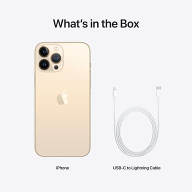 iPhone 13 Pro Max – 5G smartphone 1TB Gold