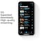 iPhone 12 Pro Max - 5G smartphone 256GB (silver)