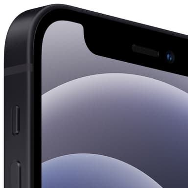 iPhone 12 Mini - 5G smartphone 256 GB (svart)