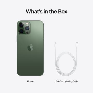 iPhone 13 Pro Max – 5G smartphone 1TB (alpine green)
