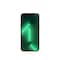 iPhone 13 Pro – 5G smartphone 1TB (alpine green)