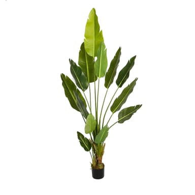Lykke Konstväxt Bird of Paradise 200cm