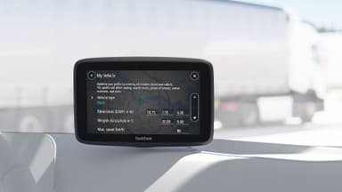 TomTom GO Professional 5" GPS (svart)