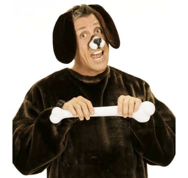 Pannband för hundöron