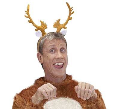 Pannband renhorn