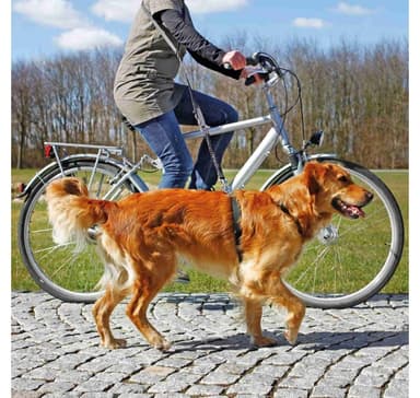 Cykel- och joggingkoppel, 1,00–2,00 m/25 mm, svart