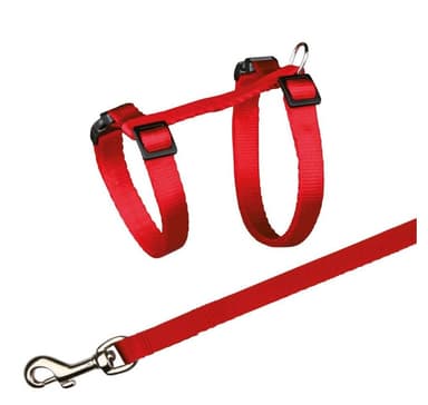 Kattsele med koppel, nylon, 27–45 cm/10 mm, 1,20 m