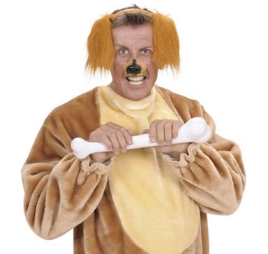 Pannband (hund)