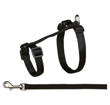 Kattsele med koppel, XL, nylon, 34–57 cm/13 mm, 1,20 m