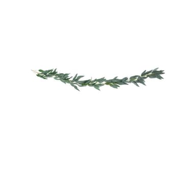 Krans av pilblad