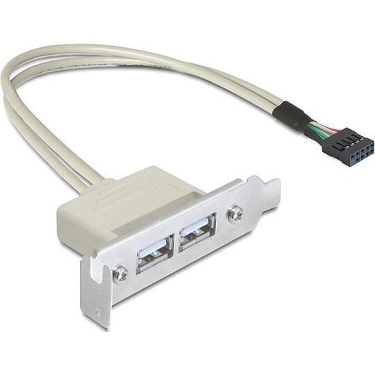 DeLOCK intern kabel för USB 2.0, IDC10 ha - 2xUSB 2.0 A ho, 0,5m (83119)