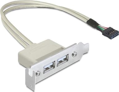 DeLOCK intern kabel för USB 2.0, IDC10 ha - 2xUSB 2.0 A ho, 0,5m (83119)