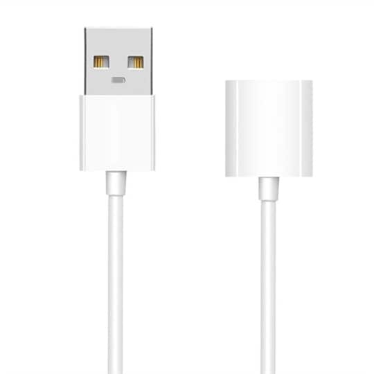 USB laddkabel till Apple Pencil – Vit