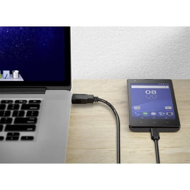 Renkforce RF-4381077 USB 3.1 (2:a gen.) [1x USB 3.2 Gen