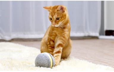 Wicked Ball - interaktiv leksak för hund och katt - grå
