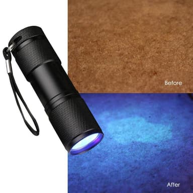 UV-ficklampa för fläckar från mat & husdjur Svart