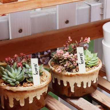 Tåliga växtetiketter / plantskyltar 100-pack För Enkel och Organiserad