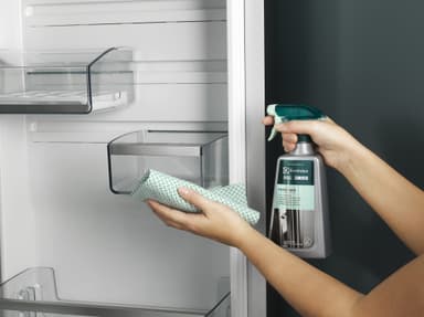 Electrolux rengöringsspray för kylskåp M3RCS300