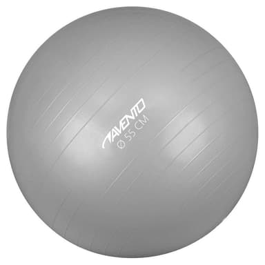 vidaXL Gymnastikboll silver 55 cm