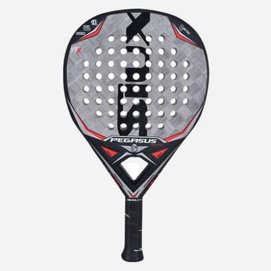 Siux Pegasus Silver Graphene, Padelracket