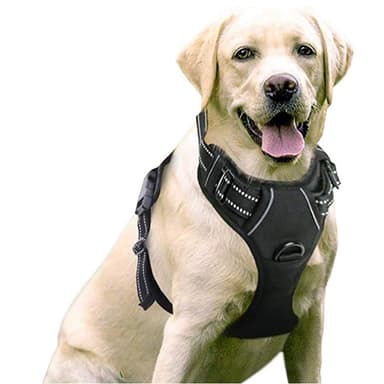 Hundsele husdjurssele med reflexremsa Svart M