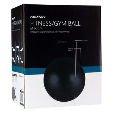 vidaXL Gymnastikboll svart 65 cm