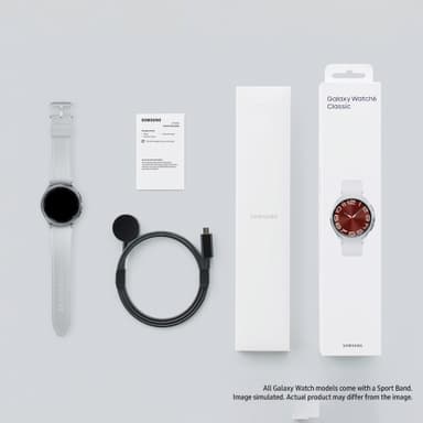 Samsung Galaxy Watch6 Classic 43mm LTE (silver)