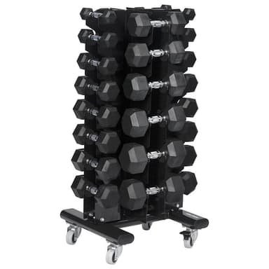 Master Fitness Hantelställ 1-20 kg