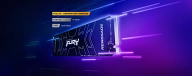 Kingston FURY Renegade NVMe intern SSD med kylfläns (4TB)