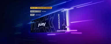 Kingston FURY Renegade NVMe intern SSD med kylfläns (2TB)