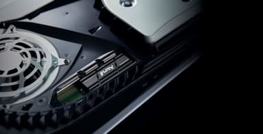 Kingston FURY Renegade NVMe intern SSD med kylfläns (4TB)