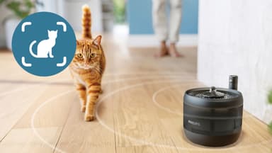 Philips Pet Series vattenfontän PAW3210/02 (svart)