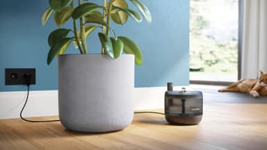Philips Pet Series vattenfontän PAW3210/02 (svart)