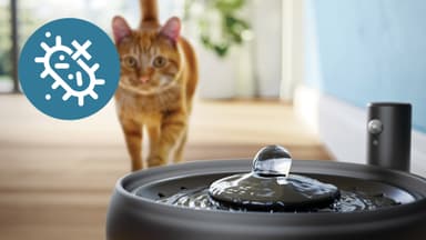 Philips Pet Series vattenfontän PAW3210/02 (svart)