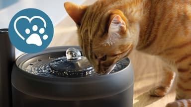 Philips Pet Series vattenfontän PAW3210/02 (svart)