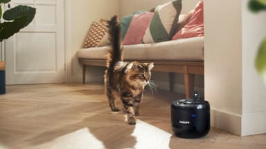 Philips Pet Series vattenfontän PAW3210/02 (svart)