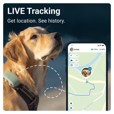 Tractive DOG XL GPS tracker hund (grön)