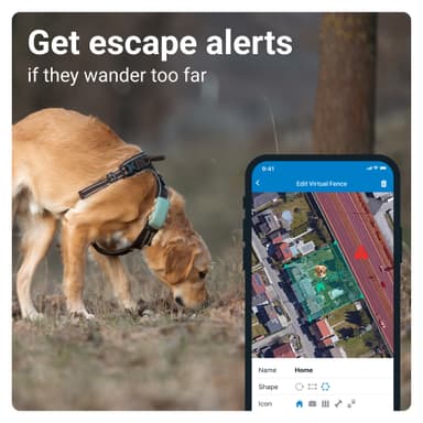 Tractive DOG XL GPS tracker hund (grön)