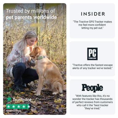Tractive DOG XL GPS tracker hund (grön)