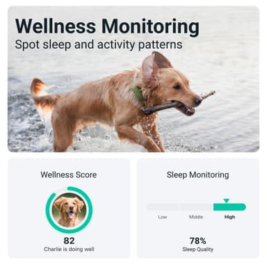 Tractive DOG XL GPS tracker hund (grön)