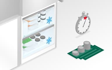 Bosch Serie 4 Frysskåp GSN36VLEP (inox-look)