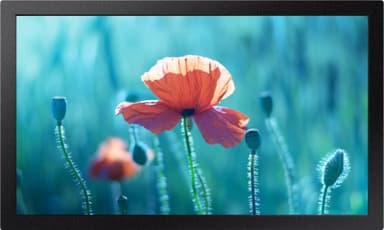 Samsung 13" digital signage-skärm LH13QBRMBGCXEN