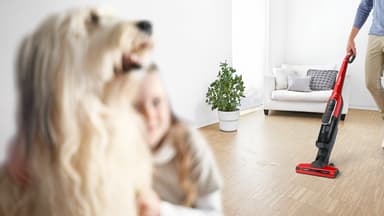 Bosch  BCH86PET3 (tornadoröd)