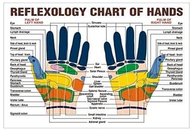 Ringar för Handmassage 20-pack