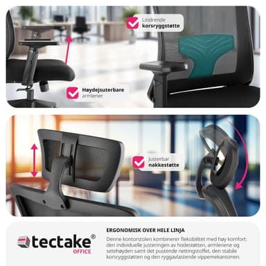 Kontorsstol Phoibe, ergonomisk med justerbart nackstöd