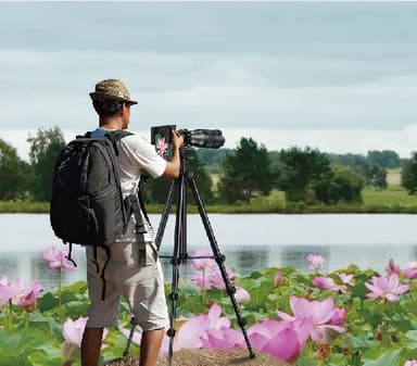 60X HD teleobjektiv med kamerastativ för utomhusbruk Svart