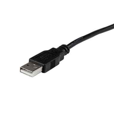 StarTech.com DP2DVID2, 0,37 m, DisplayPort, DVI-D, Hankoppling, Honkop