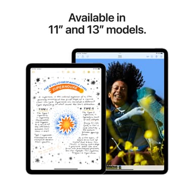 iPad Air 13 M2 1TB WiFi + Cellular (Space Grey)