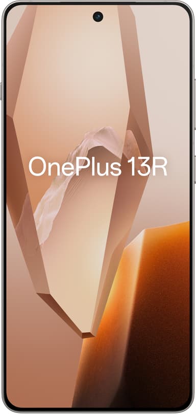 OnePlus 13R smartphone 5G 12/256 (titanium)