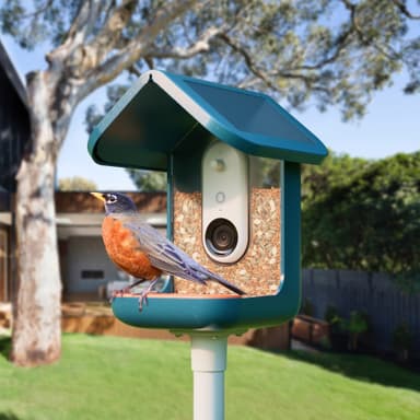 Bird Buddy solcellsdriven fågelmatare med kamera (blå)